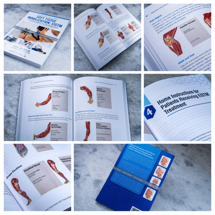 EISTM Certification Course (10 Contact Hours) - Image 5